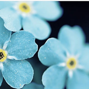 Meet your Posher, Olenkaa